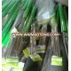 Tree guards pack contains one plastic sleeves and 3 bamboo stakes /sticks