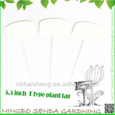 PP plastic 5.5 inch T type garden labels