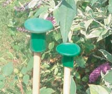 PlastiC garden cane caps