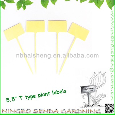 Yellow plant lables for seeds and cuttings