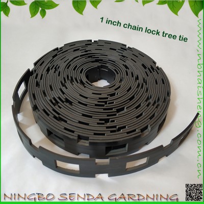 Tree tie, chain lock tree tie,